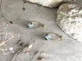Yulia Kiwi Jaspis Spheren Creolen